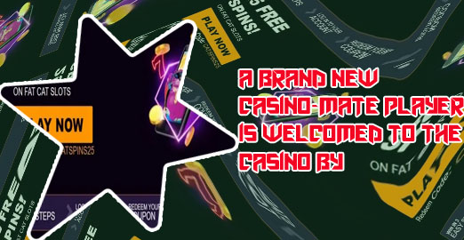 Malibu club casino no deposit bonus codes