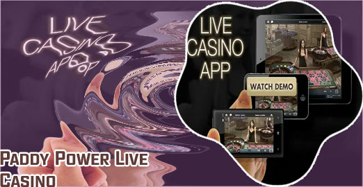 Paddy live casino