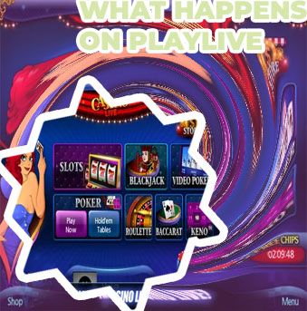 Playlive casino app